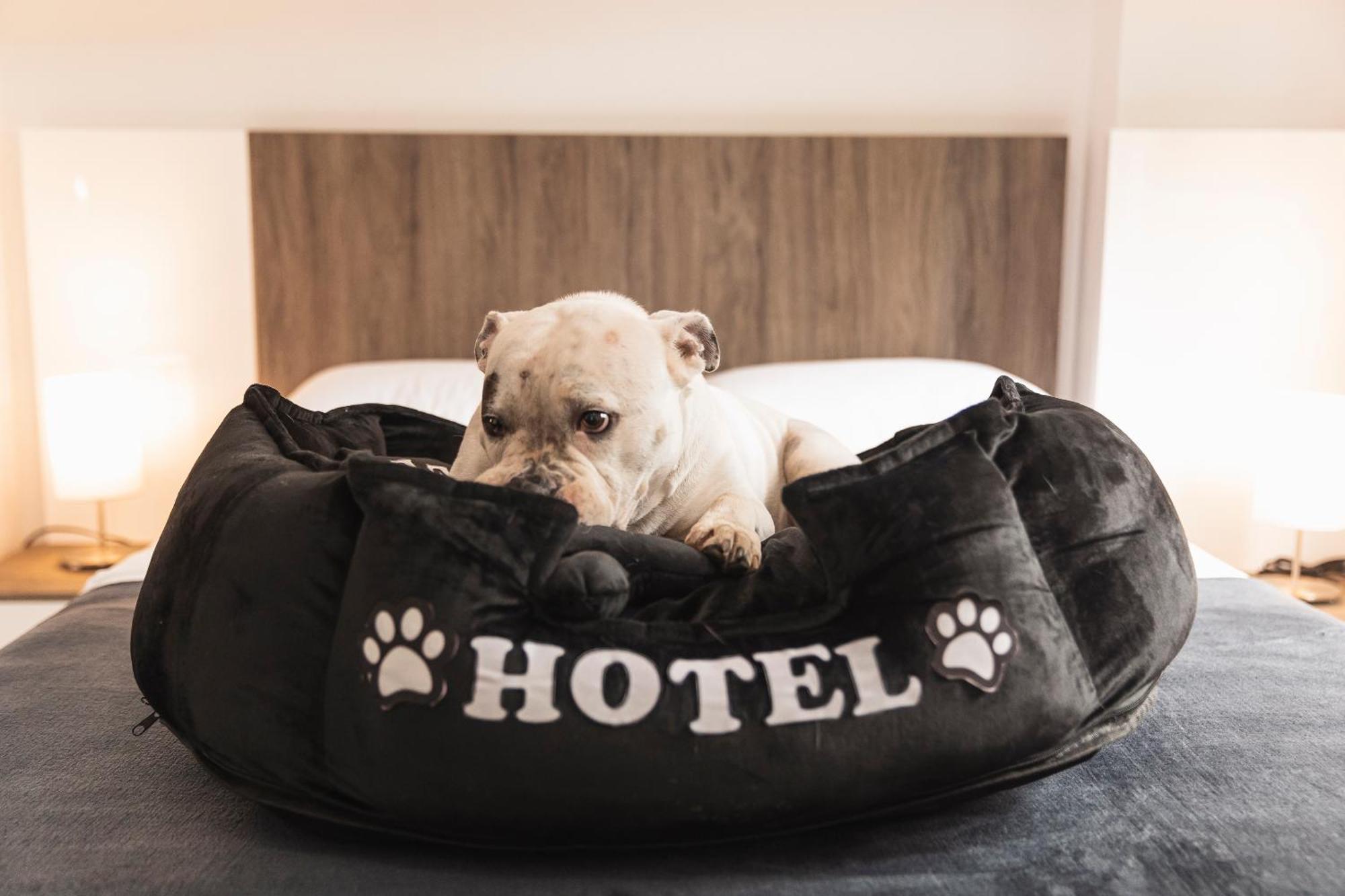 Hotel Boutique Bussines Center Cali Εξωτερικό φωτογραφία